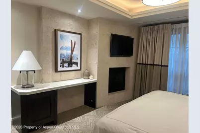 219 E Durant Avenue #H16, Aspen, CO 81611 - Photo 3