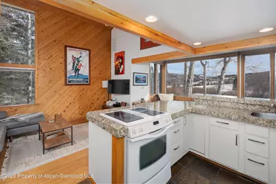 4000 Brush Creek Road #20, Snowmass Village, CO 81615 - Photo 13