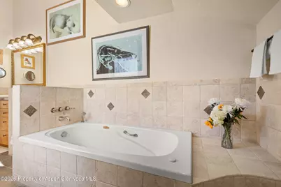 700 Dorais Way, Redstone, CO 81623 - Photo 31