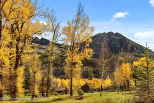 700 Dorais Way, Redstone, CO 81623 - Photo 47