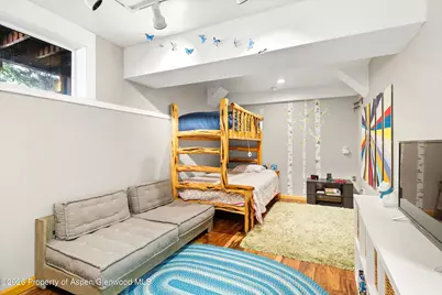 372 Crystal Park Drive, Redstone, CO 81623 - Photo 29