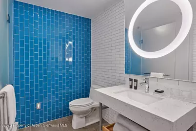 550 S Spring Street #F7-2, Aspen, CO 81611 - Photo 7