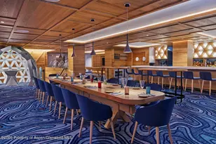 550 S Spring St, Aspen, CO 81611 - Photo 13