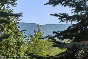 32 Elk Ridge Ln, Snowmass Village, CO 81615 - Photo 15
