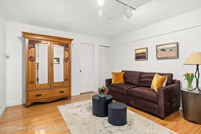 555 E Durant Avenue #2c, Aspen, CO 81611 - Photo 9