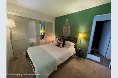 907 Vine Street, Aspen, CO 81611 - Photo 15