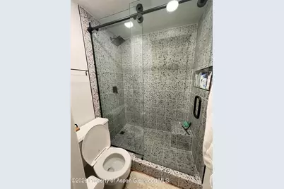907 Vine Street, Aspen, CO 81611 - Photo 13