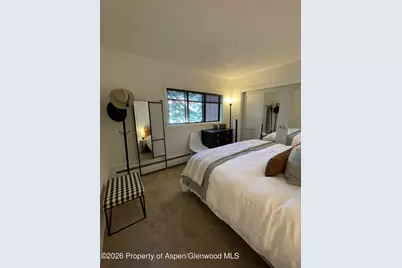 907 Vine Street, Aspen, CO 81611 - Photo 9