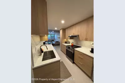 907 Vine Street, Aspen, CO 81611 - Photo 3