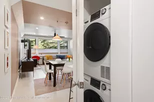 907 Vine St, Aspen, CO 81611 - Photo 15