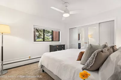 907 Vine Street, Aspen, CO 81611 - Photo 9