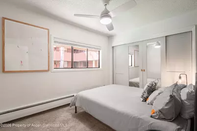 907 Vine Street, Aspen, CO 81611 - Photo 13