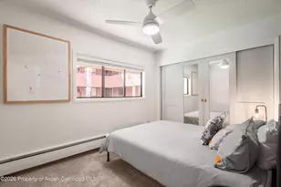 907 Vine St, Aspen, CO 81611 - Photo 13