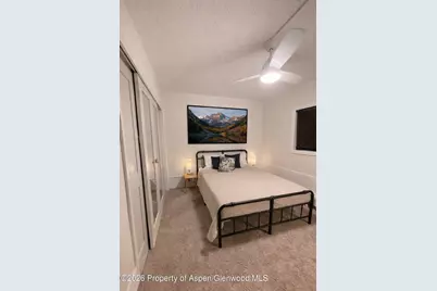 907 Vine Street, Aspen, CO 81611 - Photo 11