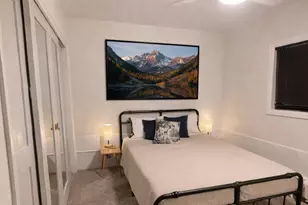 907 Vine St, Aspen, CO 81611 - Photo 11