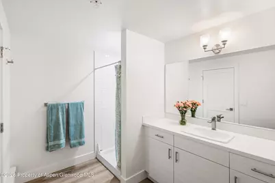 4252 Ripple Lane, Glenwood Springs, CO 81601 - Photo 21