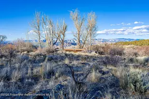 49131 I E Rd, Mesa, CO 81643 - Photo 7