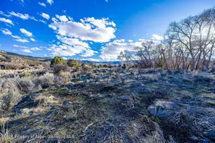 49131 I E Rd, Mesa, CO 81643 - Photo 7