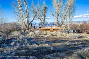 49131 I E Rd, Mesa, CO 81643 - Photo 13