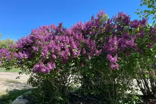 1040 Bryan Way, Craig, CO 81625 - Photo 53