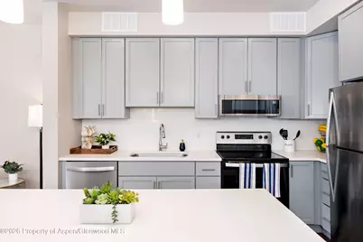 253 Wulfsohn Road #232, Glenwood Springs, CO 81601 - Photo 15