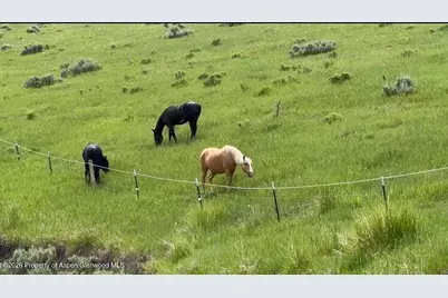 46045 Rock Springs Lane, Hayden, CO 81639 - Photo 129