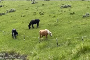 46045 Rock Springs Ln, Hayden, CO 81639 - Photo 129