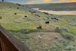 46045 Rock Springs Ln, Hayden, CO 81639 - Photo 131