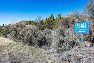 53404 Hwy 330, Collbran, CO 81624 - Photo 43