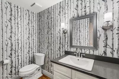 3 Red Wing Lane, Carbondale, CO 81623 - Photo 29