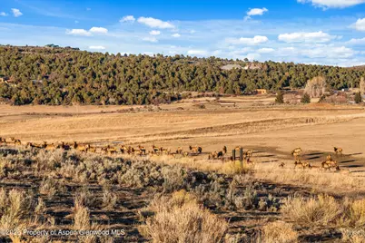 3 Red Wing Lane, Carbondale, CO 81623 - Photo 31
