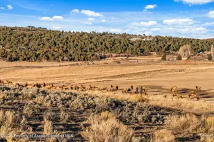 3 Red Wing Ln, Carbondale, CO 81623 - Photo 31