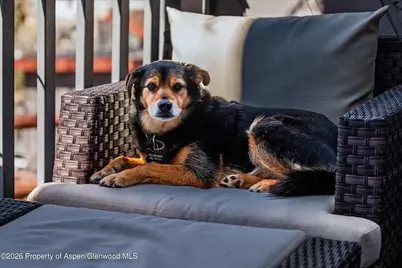 1512 Bennett Avenue, Glenwood Springs, CO 81601 - Photo 5