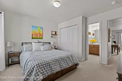 202 12th Street #201, Carbondale, CO 81623 - Photo 17