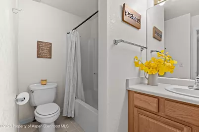 202 12th Street #201, Carbondale, CO 81623 - Photo 19