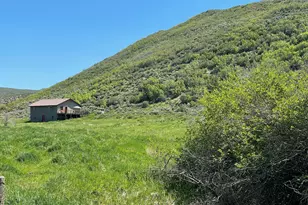 9200 Co Rd 113, Carbondale, CO 81623 - Photo 9