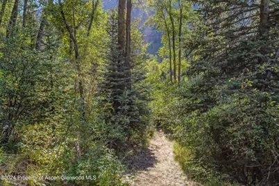 900 Dorais Way, Redstone, CO 81623 - Photo 57