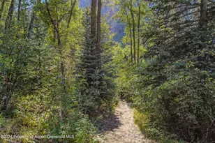 900 Dorais Way, Redstone, CO 81623 - Photo 57