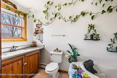 682 Alder Ridge Lane, New Castle, CO 81647 - Photo 9