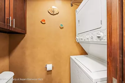 935 E Hopkins Avenue #4, Aspen, CO 81611 - Photo 9