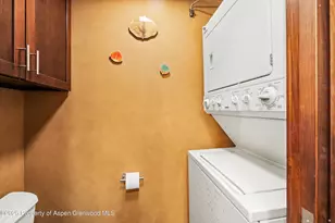 935 E Hopkins Ave, Aspen, CO 81611 - Photo 9