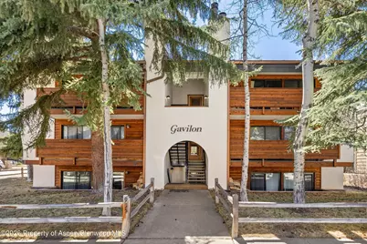 935 E Hopkins Avenue #4, Aspen, CO 81611 - Photo 11