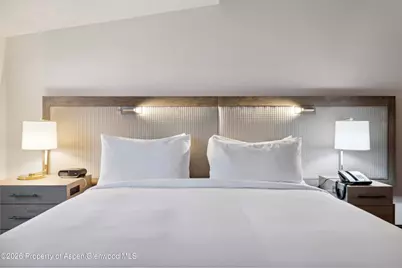 415 E Dean St, Unit 30, Week 10, Aspen, CO 81611 - Photo 23