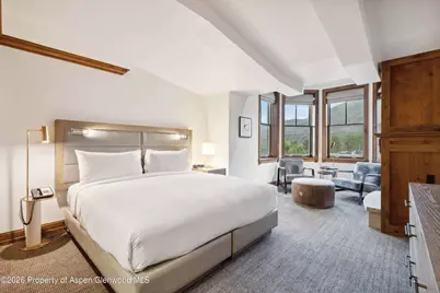 415 E Dean St, Unit 30, Week 10, Aspen, CO 81611 - Photo 13