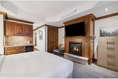 415 E Dean St, Unit 43, Week 11, Aspen, CO 81611 - Photo 13