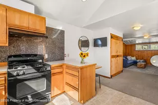 14 Old Orchard Rd, Carbondale, CO 81623 - Photo 49