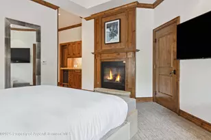 415 E Dean St Unit 8 Week 12, Aspen, CO 81611 - Photo 15