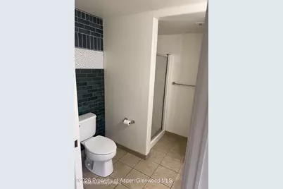 790 Castle Valley Boulevard #L, New Castle, CO 81647 - Photo 9