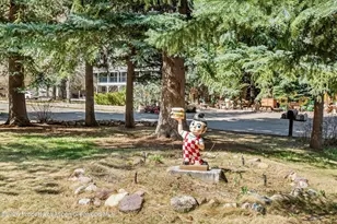 244 Redstone Blvd, Redstone, CO 81623 - Photo 55