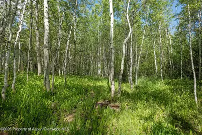 1265 Riverside Drive, Aspen, CO 81611 - Photo 9